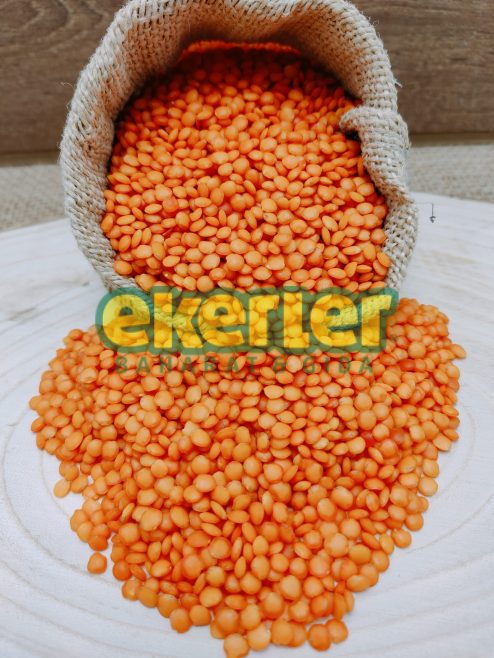Kırmızı Mercimek Futbol