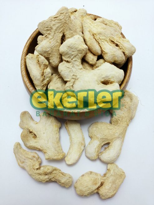 Kök Zencefil